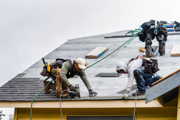 Professional Gutter Installation technician working in Kearney, MO